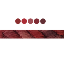 Load image into Gallery viewer, Cottage Garden Stranded Cotton (Colours 809 to 2103 ) - Cottage Garden Threads