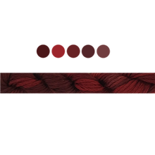 Load image into Gallery viewer, Cottage Garden Stranded Cotton (Colours 809 to 2103 ) - Cottage Garden Threads