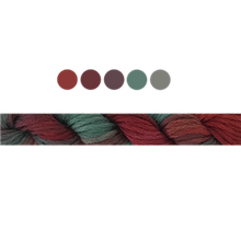 Load image into Gallery viewer, Cottage Garden Stranded Cotton (Colours 809 to 2103 ) - Cottage Garden Threads