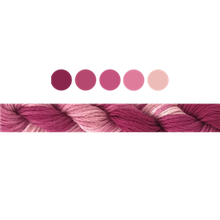 Load image into Gallery viewer, Cottage Garden Stranded Cotton (Colours 100 to 808) - Cottage Garden Threads