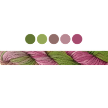 Load image into Gallery viewer, Cottage Garden Stranded Cotton (Colours 100 to 808) - Cottage Garden Threads