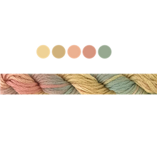Load image into Gallery viewer, Cottage Garden Stranded Cotton (Colours 809 to 2103 ) - Cottage Garden Threads