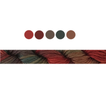 Load image into Gallery viewer, Cottage Garden Stranded Cotton (Colours 809 to 2103 ) - Cottage Garden Threads