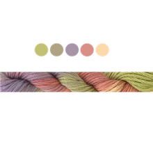 Load image into Gallery viewer, Cottage Garden Stranded Cotton (Colours 809 to 2103 ) - Cottage Garden Threads