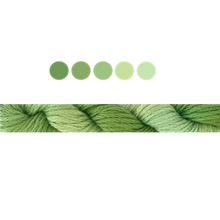 Load image into Gallery viewer, Cottage Garden Stranded Cotton (Colours 809 to 2103 ) - Cottage Garden Threads