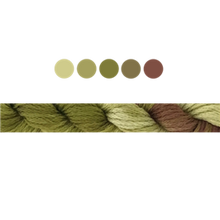 Load image into Gallery viewer, Cottage Garden Stranded Cotton (Colours 809 to 2103 ) - Cottage Garden Threads