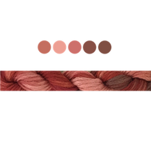 Load image into Gallery viewer, Cottage Garden Stranded Cotton (Colours 809 to 2103 ) - Cottage Garden Threads