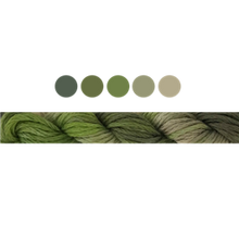 Load image into Gallery viewer, Cottage Garden Stranded Cotton (Colours 100 to 808) - Cottage Garden Threads