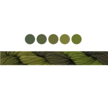 Load image into Gallery viewer, Cottage Garden Stranded Cotton (Colours 100 to 808) - Cottage Garden Threads