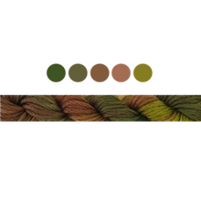 Load image into Gallery viewer, Cottage Garden Stranded Cotton (Colours 100 to 808) - Cottage Garden Threads