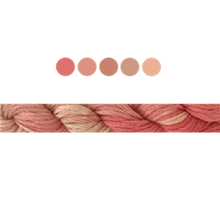 Load image into Gallery viewer, Cottage Garden Stranded Cotton (Colours 2104 to 2406) - Cottage Garden Threads