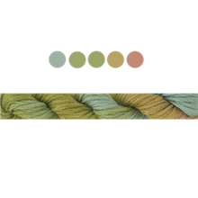 Load image into Gallery viewer, Cottage Garden Stranded Cotton (Colours 2104 to 2406) - Cottage Garden Threads