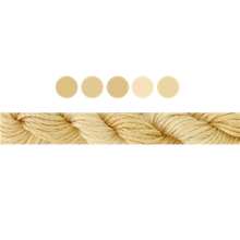 Load image into Gallery viewer, Cottage Garden Stranded Cotton (Colours 100 to 808) - Cottage Garden Threads