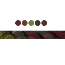 Load image into Gallery viewer, Cottage Garden Stranded Cotton (Colours 100 to 808) - Cottage Garden Threads