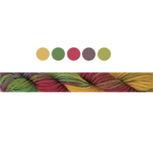 Load image into Gallery viewer, Cottage Garden Stranded Cotton (Colours 100 to 808) - Cottage Garden Threads