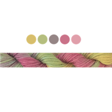 Load image into Gallery viewer, Cottage Garden Stranded Cotton (Colours 100 to 808) - Cottage Garden Threads