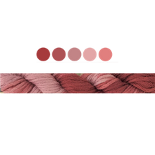 Load image into Gallery viewer, Cottage Garden Stranded Cotton (Colours 100 to 808) - Cottage Garden Threads