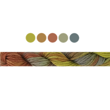 Load image into Gallery viewer, Cottage Garden Stranded Cotton (Colours 100 to 808) - Cottage Garden Threads