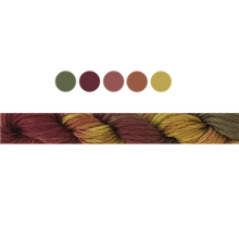 Load image into Gallery viewer, Cottage Garden Stranded Cotton (Colours 100 to 808) - Cottage Garden Threads