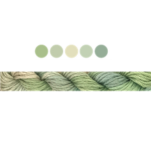 Load image into Gallery viewer, Cottage Garden Stranded Cotton (Colours 100 to 808) - Cottage Garden Threads