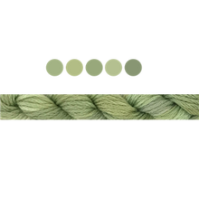 Load image into Gallery viewer, Cottage Garden Stranded Cotton (Colours 100 to 808) - Cottage Garden Threads