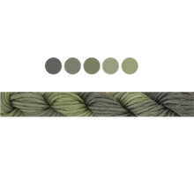 Load image into Gallery viewer, Cottage Garden Stranded Cotton (Colours 100 to 808) - Cottage Garden Threads