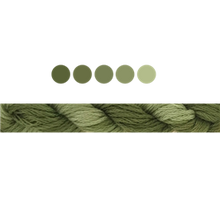 Load image into Gallery viewer, Cottage Garden Stranded Cotton (Colours 809 to 2103 ) - Cottage Garden Threads