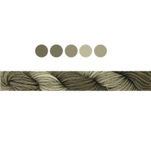 Load image into Gallery viewer, Cottage Garden Stranded Cotton (Colours 809 to 2103 ) - Cottage Garden Threads