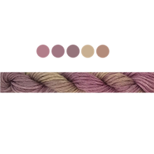 Load image into Gallery viewer, Cottage Garden Stranded Cotton (Colours 809 to 2103 ) - Cottage Garden Threads