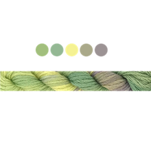 Load image into Gallery viewer, Cottage Garden Stranded Cotton (Colours 809 to 2103 ) - Cottage Garden Threads