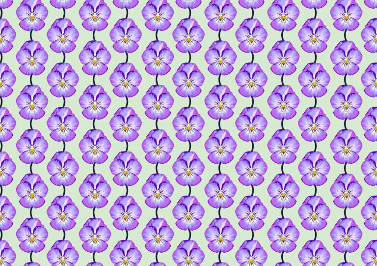Iconic 25cm AMT124-83C Pansy Cheery - Anna Maria