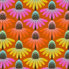 Perennial Borders 25cm AMT136-79V Echinacea Rhythm - Anna Maria