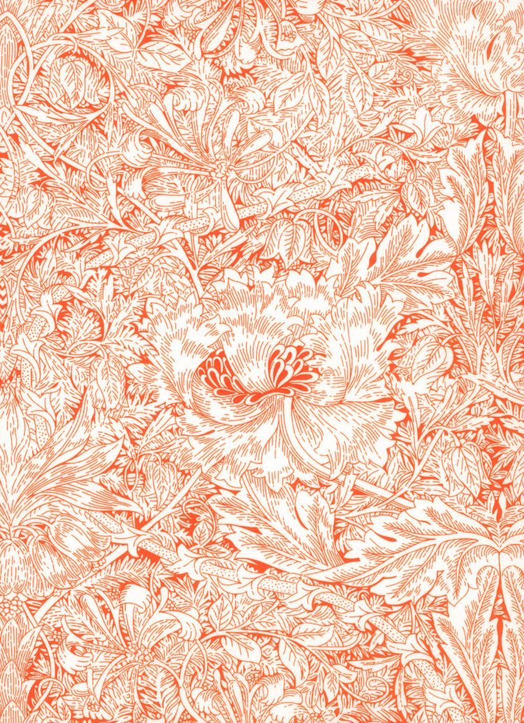 Indigo Morris 03634139B - Tana Lawn - Liberty