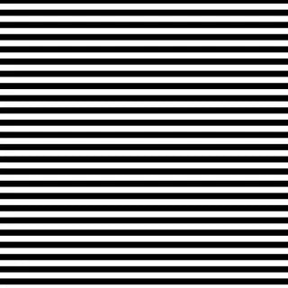 Stripes Zebra 1/4