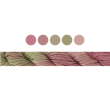 Load image into Gallery viewer, Cottage Garden Stranded Cotton (Colours 100 to 808) - Cottage Garden Threads
