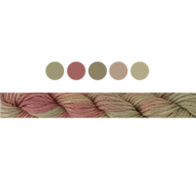 Load image into Gallery viewer, Cottage Garden Stranded Cotton (Colours 100 to 808) - Cottage Garden Threads
