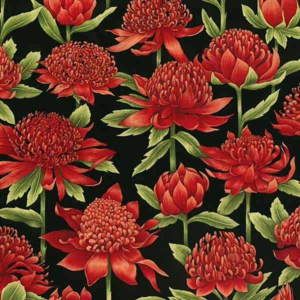 Waratah 25cm 11200  - Nutex