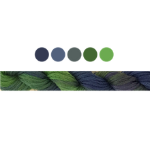 Load image into Gallery viewer, Cottage Garden Stranded Cotton (Colours 100 to 808) - Cottage Garden Threads
