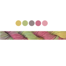 Load image into Gallery viewer, Cottage Garden Stranded Cotton (Colours 100 to 808) - Cottage Garden Threads
