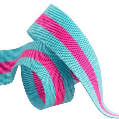 Aqua and Hot Pink - Tula Pink striped Nylon Webbing-1 1/2