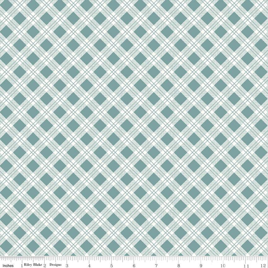 Bee Plaids 25cm C12020 Teal - Lori Holt for Riley Blake Designs