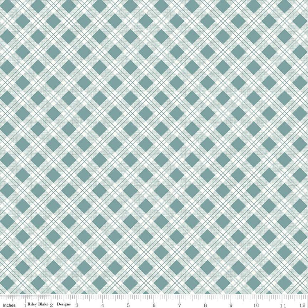 Bee Plaids 25cm C12020 Teal - Lori Holt for Riley Blake Designs