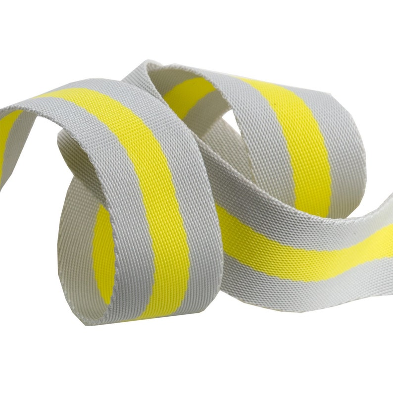 Grey and Lime - Tula Pink striped Nylon Webbing-1 1/2