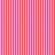 True Colours Tent Stripe 25cm PWTP069 Poppy- Tula Pink